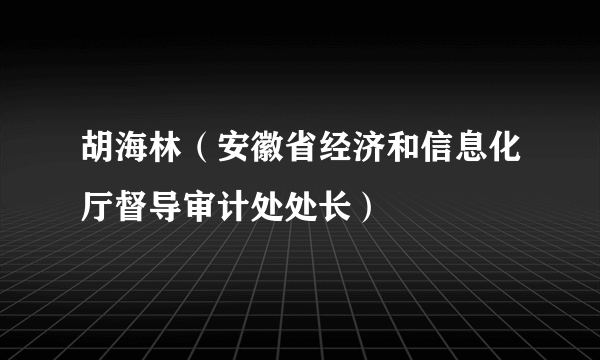 胡海林（安徽省经济和信息化厅督导审计处处长）
