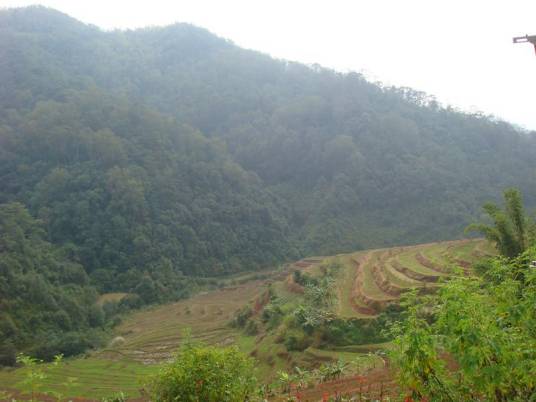 莲花村（云南省普洱市思茅镇莲花村）