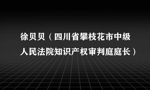 徐贝贝(四川省攀枝花市中级人民法院知识产权审判庭庭长)