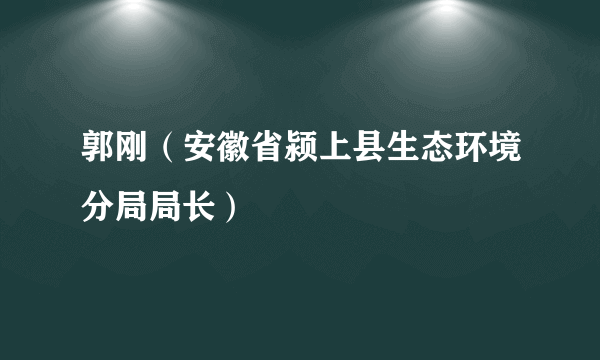 郭刚（安徽省颍上县生态环境分局局长）