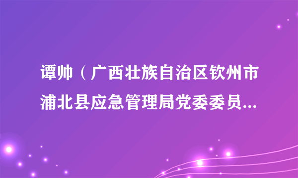 谭帅(广西壮族自治区钦州市浦北县应急管理局党委委员、副局长)