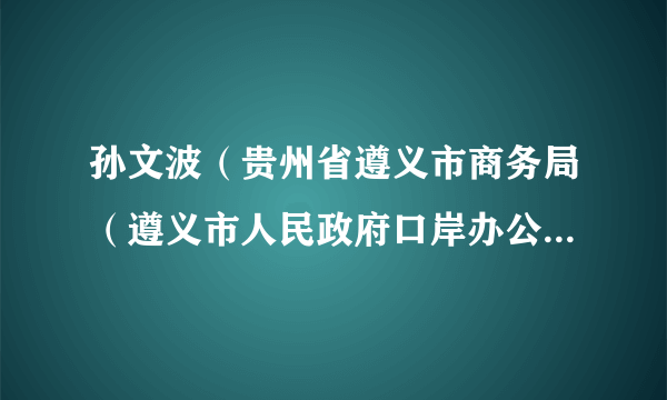 孙文波（贵州省遵义市商务局（遵义市人民政府口岸办公室）副局长（副主任））