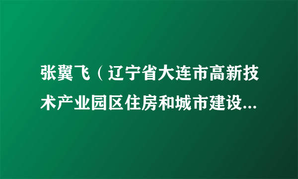 张翼飞（辽宁省大连市高新技术产业园区住房和城市建设管理局副局长）