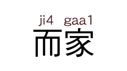 而家（汉语词语）
