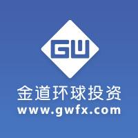 金道环球投资