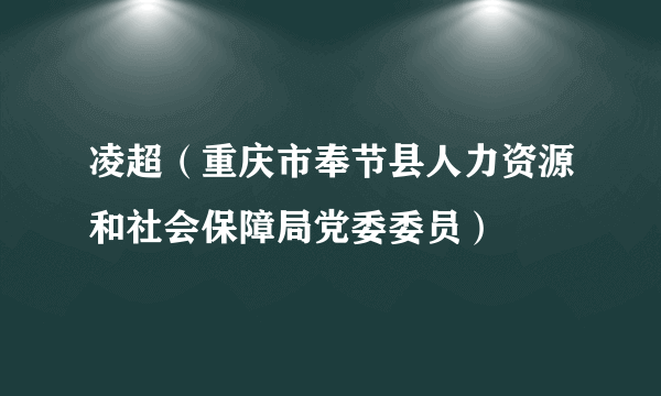 凌超（重庆市奉节县人力资源和社会保障局党委委员）