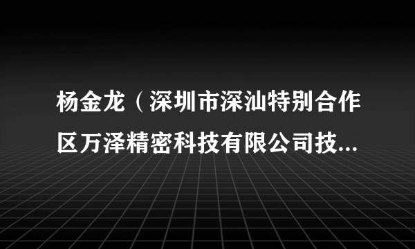 杨金龙（深圳市深汕特别合作区万泽精密科技有限公司技术研发总监）