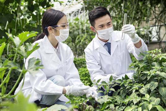 现代农业(名词解释)