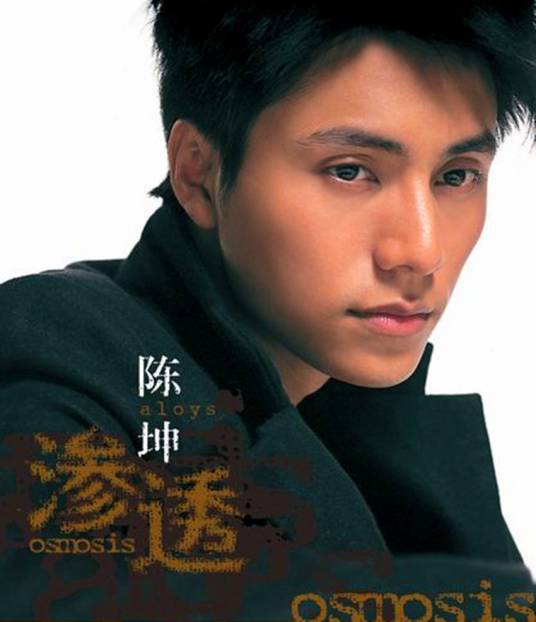 月半弯(2004年陈坤演唱歌曲)