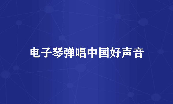 电子琴弹唱中国好声音