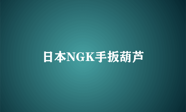 日本NGK手扳葫芦