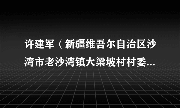 许建军(新疆维吾尔自治区沙湾市老沙湾镇大梁坡村村委会主任)