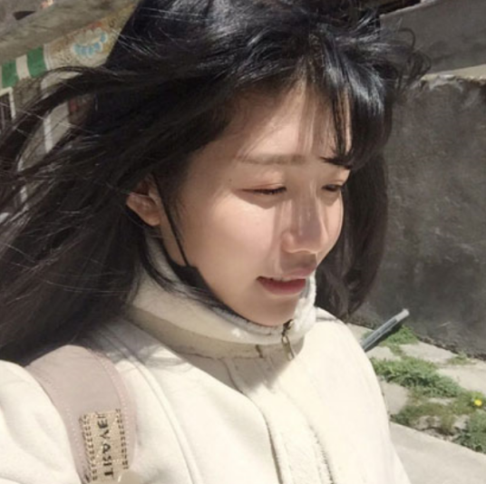 孙新（艺术家）