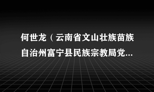 何世龙（云南省文山壮族苗族自治州富宁县民族宗教局党组成员、副局长）