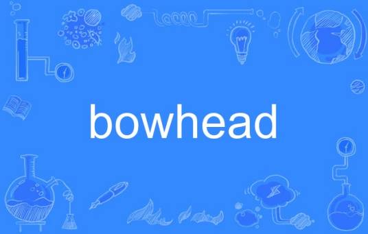 bowhead