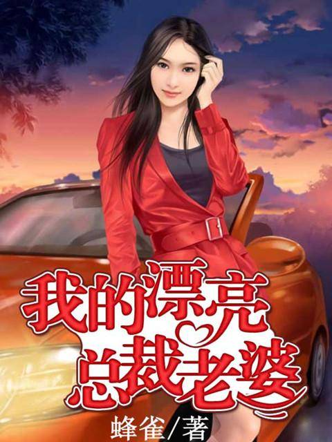 我的漂亮总裁老婆(网络小说)
