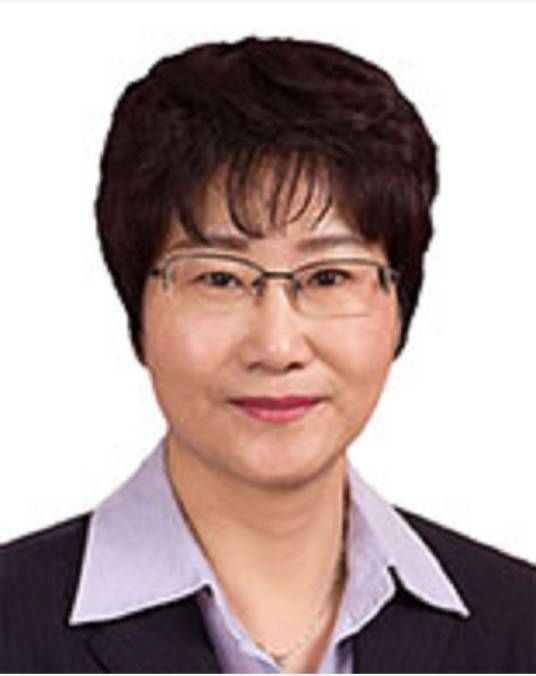 王晓丽(山东省枣庄市台儿庄区政府党组成员、副区长)