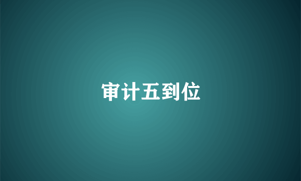审计五到位