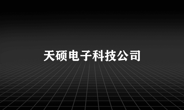 天硕电子科技公司