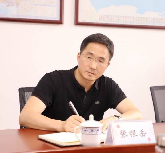 张银岳（广西壮族自治区蒙山县委书记、二级巡视员）