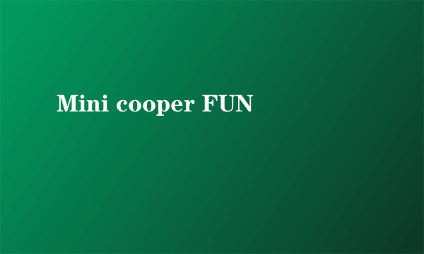 Mini cooper FUN