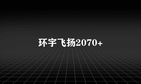 环宇飞扬2070+