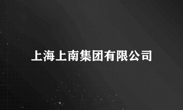 上海上南集团有限公司