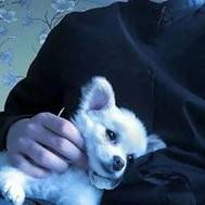 我的恶魔界男友