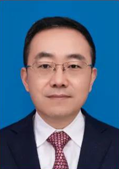 何庆(重庆市武隆区委书记)