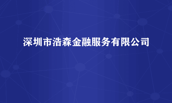 深圳市浩森金融服务有限公司