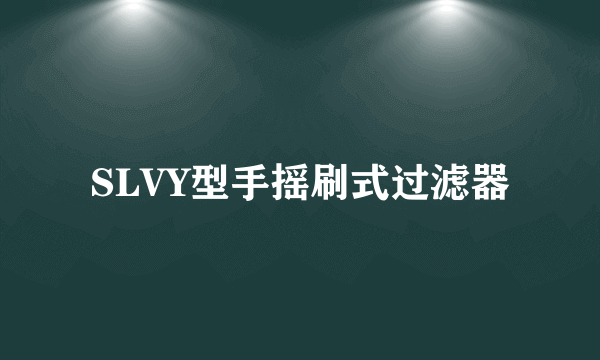 SLVY型手摇刷式过滤器