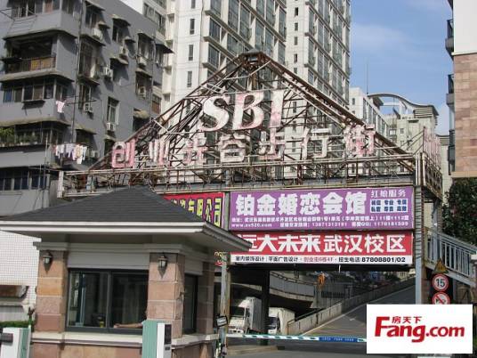 创业街(武汉市创业街)