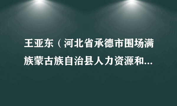 王亚东（河北省承德市围场满族蒙古族自治县人力资源和社会保障局党组成员、三级主任科员）