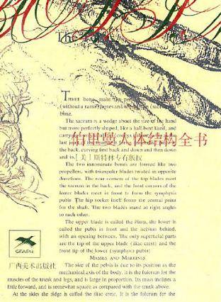 伯里曼人体结构全书