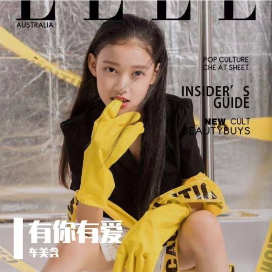 有你有爱（车美含演唱的歌曲）