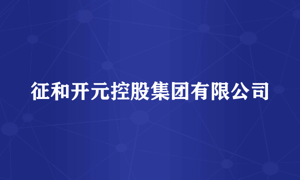 征和开元控股集团有限公司
