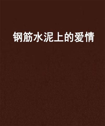 钢筋水泥上的爱情