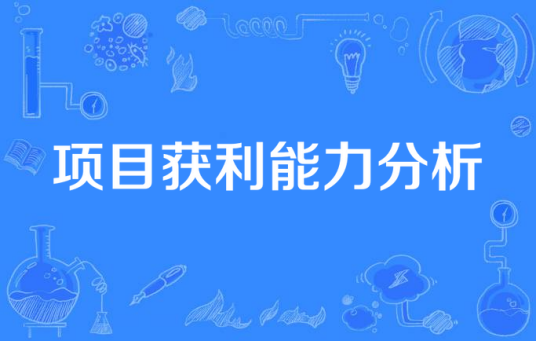 项目获利能力分析