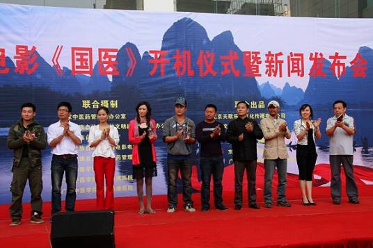 国医（2012年卢奇主演电影）