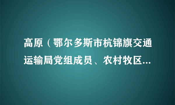 高原(鄂尔多斯市杭锦旗交通运输局党组成员、农村牧区养护管理所所长)