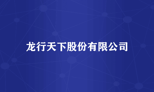 龙行天下股份有限公司