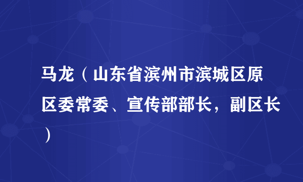 马龙（山东省滨州市滨城区原区委常委、宣传部部长，副区长）