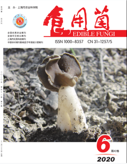 食用菌(杂志)