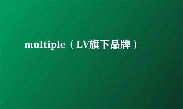 multiple（LV旗下品牌）
