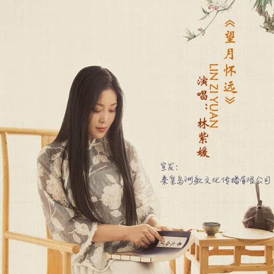 望月怀远（林紫媛演唱的歌曲）