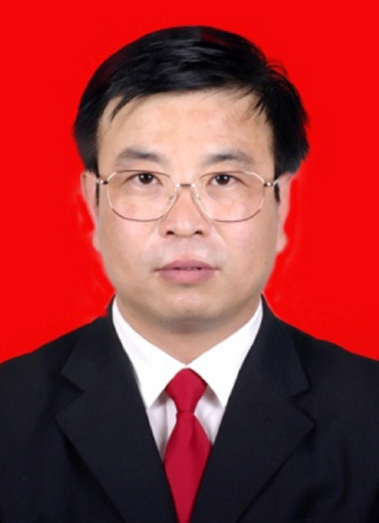 张红林(陕西省渭南市大荔县人大常委会主任)