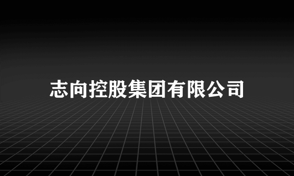 志向控股集团有限公司