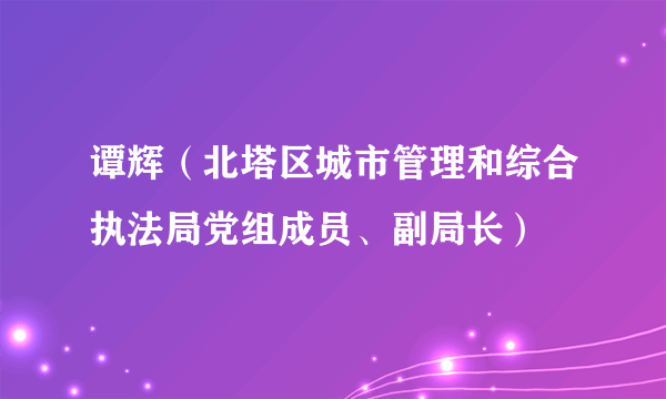 谭辉（北塔区城市管理和综合执法局党组成员、副局长）