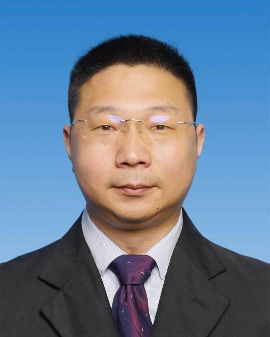 王朝阳(河南省郑州市二七区发展和改革委员会党组书记、主任)