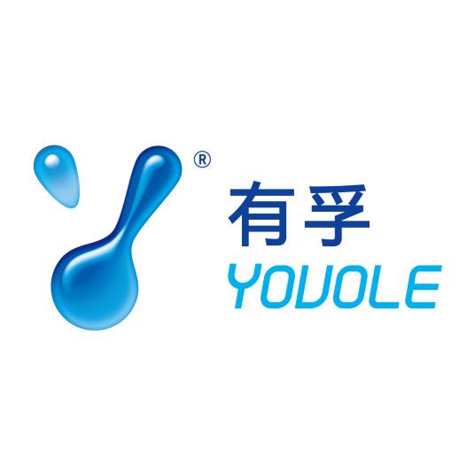 上海有孚网络股份有限公司